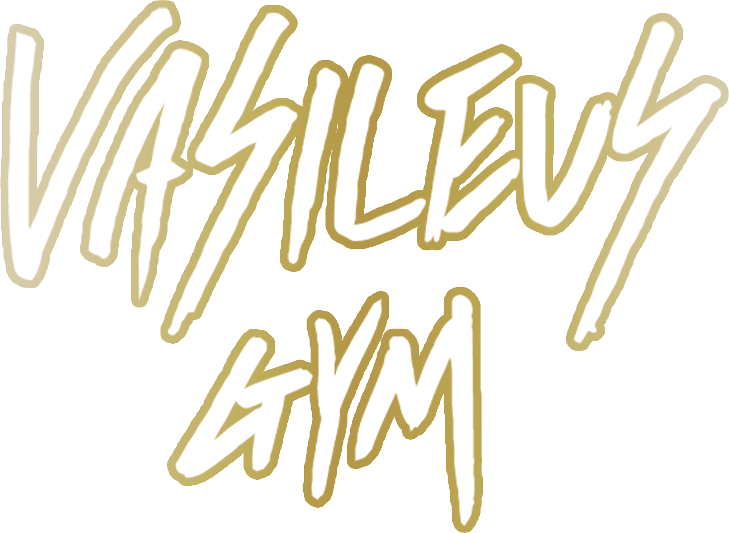 VASILEUS GYM